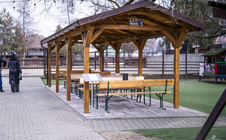 DSC03179-Enhanced-NR