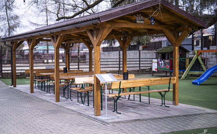 DSC03180-Enhanced-NR