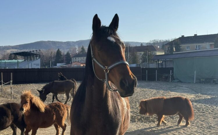 486046379_10229948136752295_7539734709395102661_n