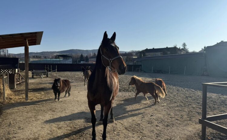 486221918_10229948138872348_7516398371955205868_n