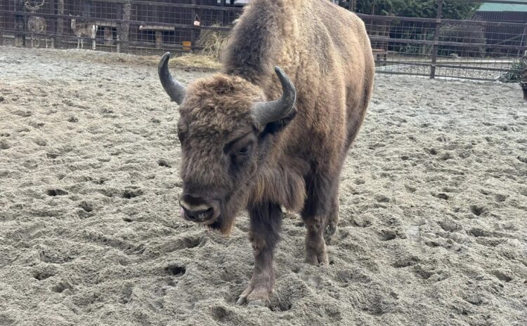 487088936_10230027615979226_7470696000477980927_n