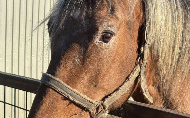 490446680_10230195537497159_2733562129417420308_n