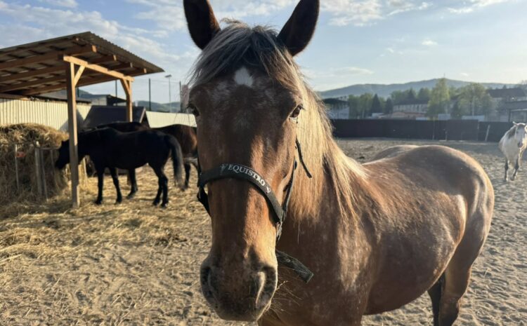 493588665_10230362560232623_3067399248415028497_n