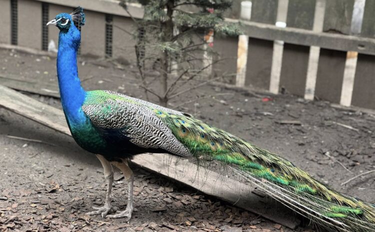 505541201_10230881224678910_9112511648361520666_n