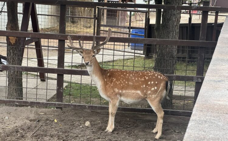 518084541_10231378822558546_1527235316852404166_n