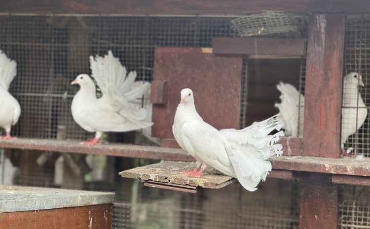 526872930_10231615203227915_3807671670965645043_n