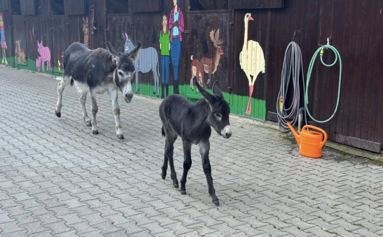 527339748_10231615205787979_6803100166524123766_n