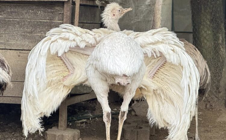 527981058_10231615206427995_2637148611359458043_n