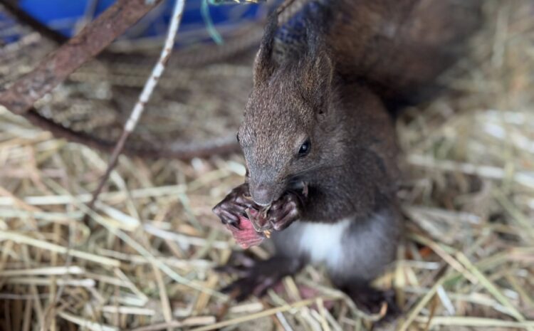 532787133_10231769950096490_3293163907284543588_n