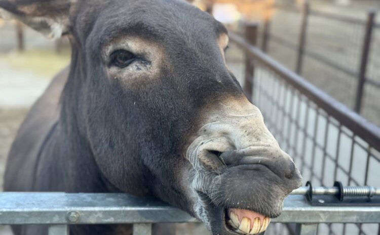 541066429_10231930274384497_6606159106979415156_n