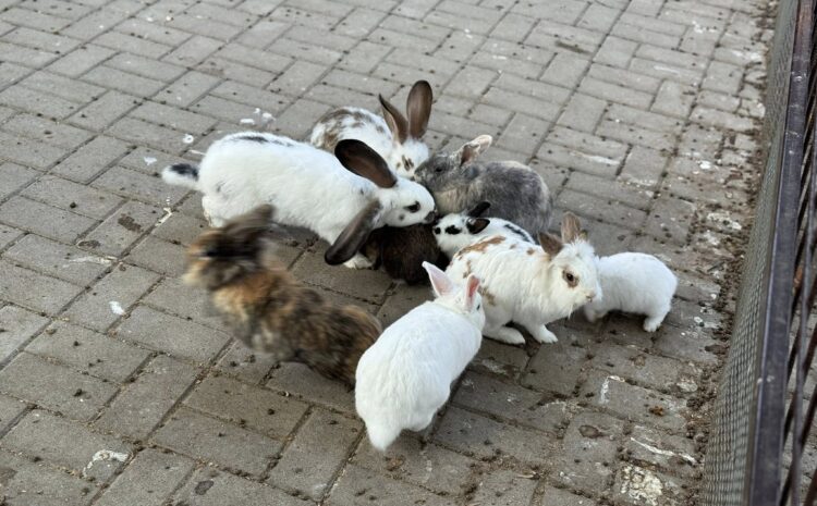 541345636_10231930277544576_764088076070103130_n