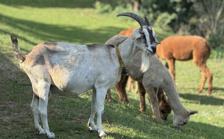 545138645_10232012333395921_1954212180605112296_n