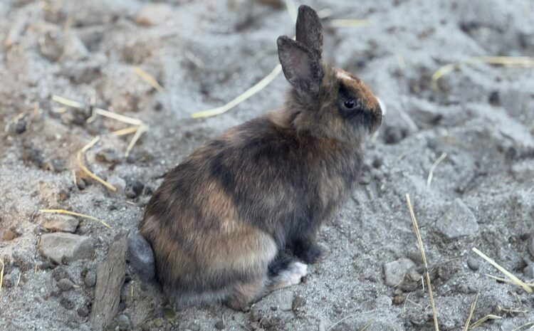 555545352_10232260340355940_5253071780261287156_n