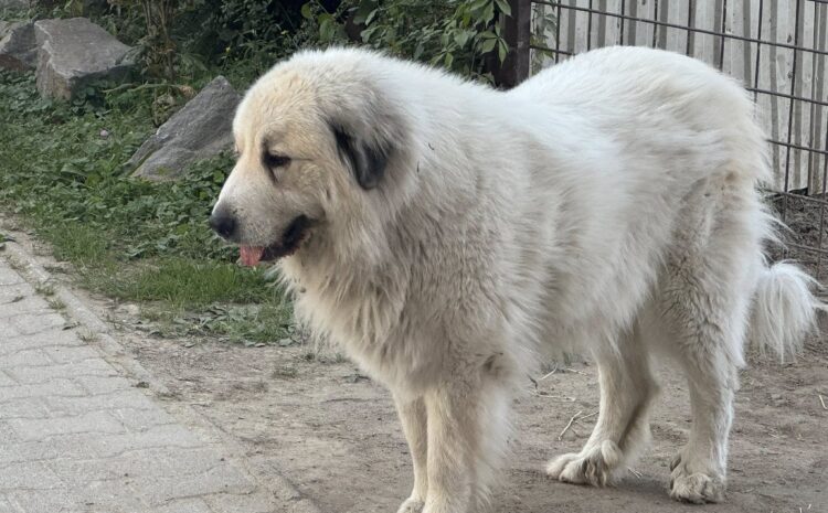 557738971_10232342382486942_6604665891283696047_n