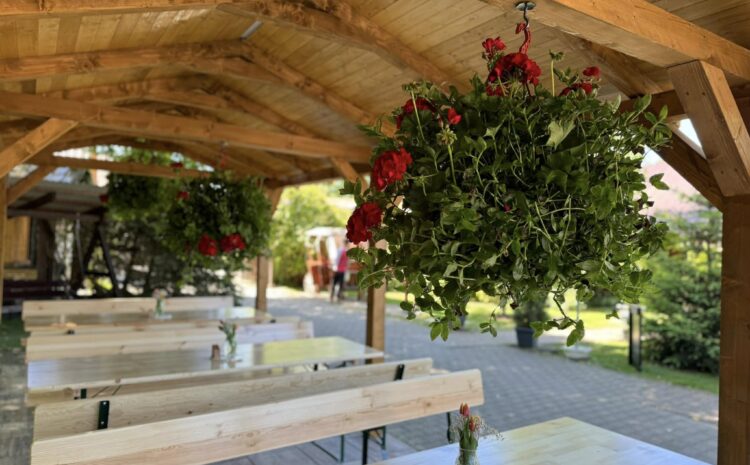 484821657_979101991027576_944048781073617813_n